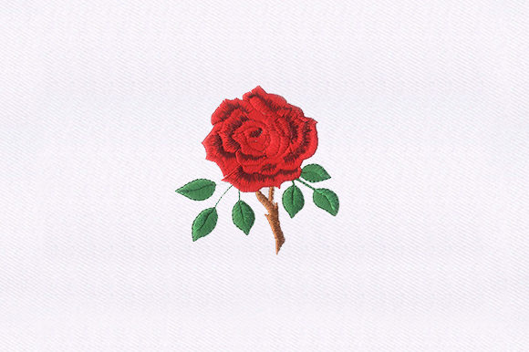 Thorny Red Rose: A Versatile Embroidery Design